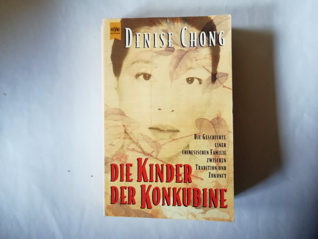 Die Kinder der Konkubine