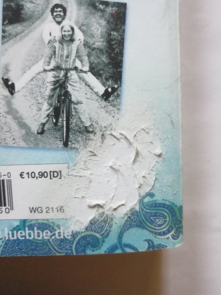 Vom Inder, der mit dem Fahrrad bis nach Schweden fuhr, um dort seine große Liebe wiederzufinden - Eine wahre Geschichte