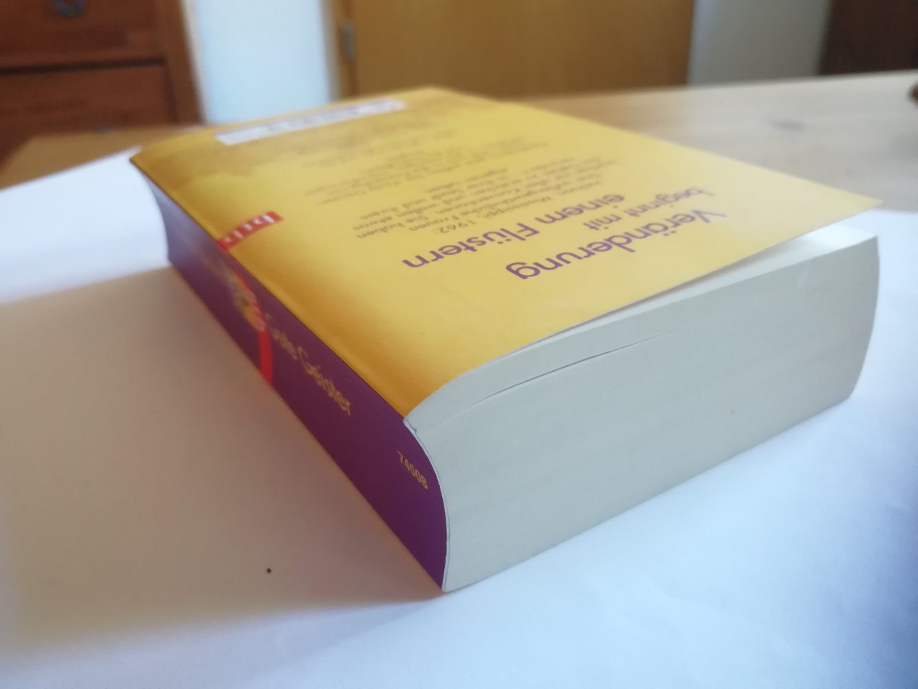 Gute Geister - The Help