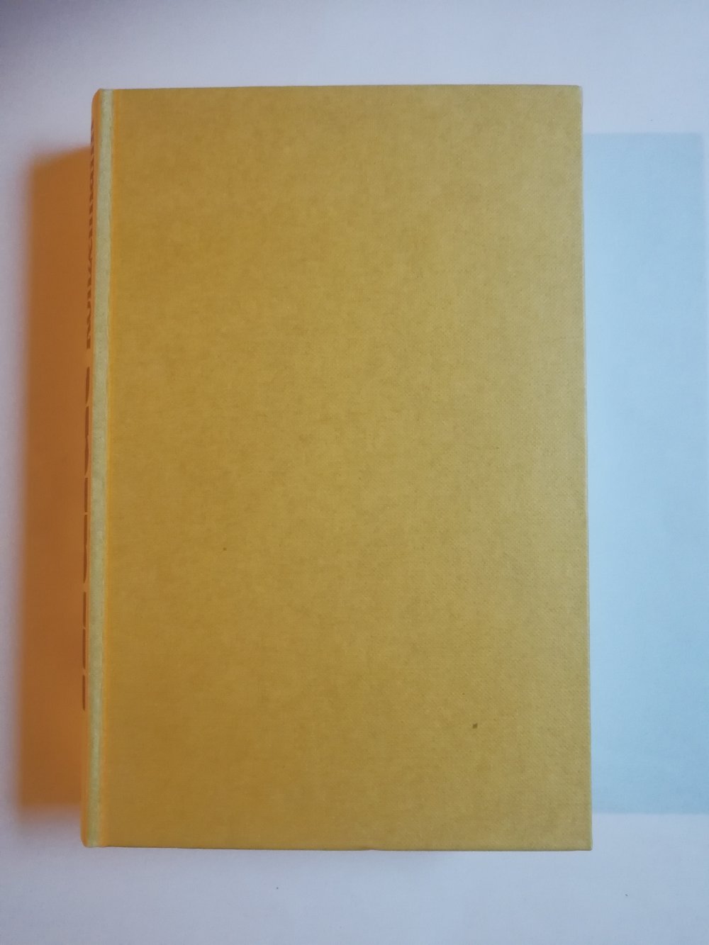 Arafat - Verhängnis oder Hoffnung?