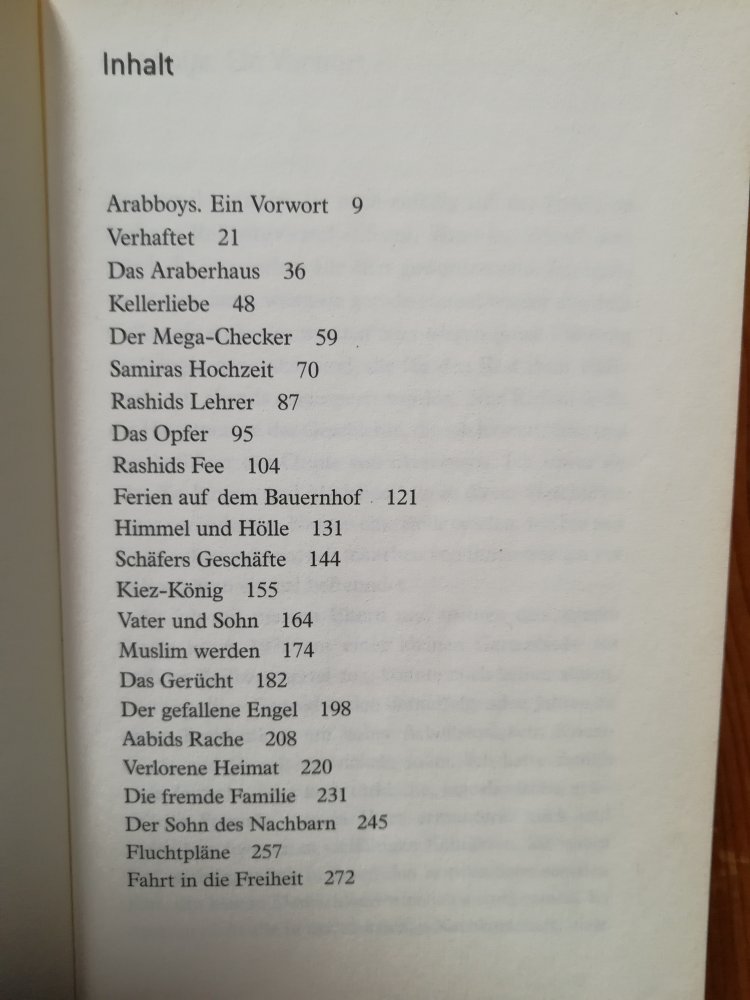 Arabboy – Eine Jugend in Deutschland oder Das kurze Leben des Rashid A.