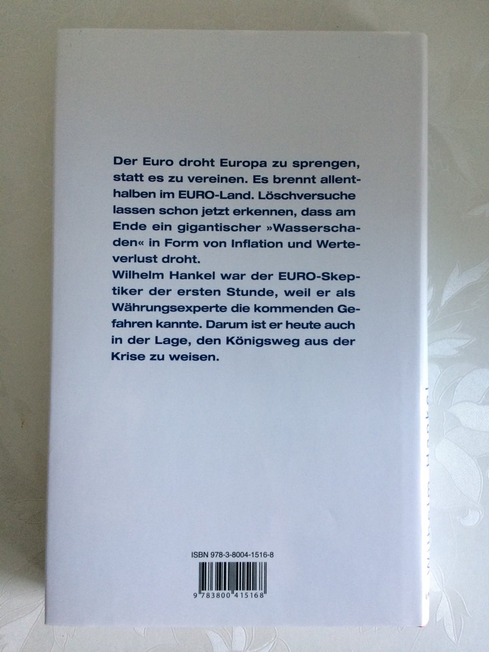Die Euro-Bombe wird entschärft (176 Seiten)