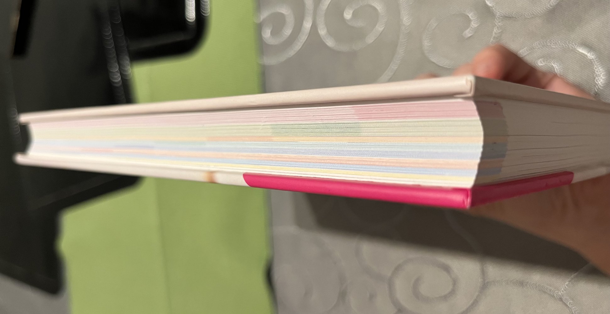 Schwangerschaft - Der praktische Ratgeber - Buch