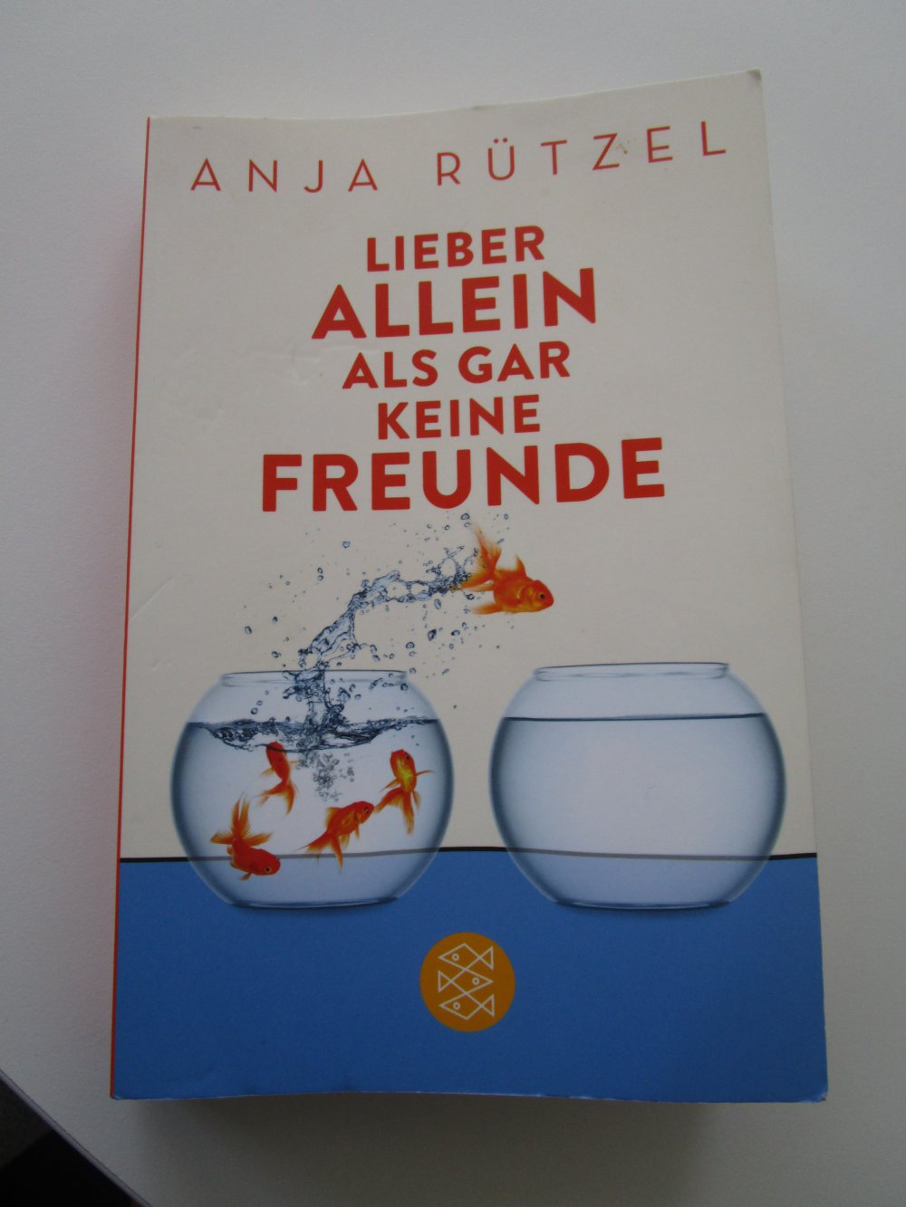 Lieber allein als gar keine Freunde Anja Rützel