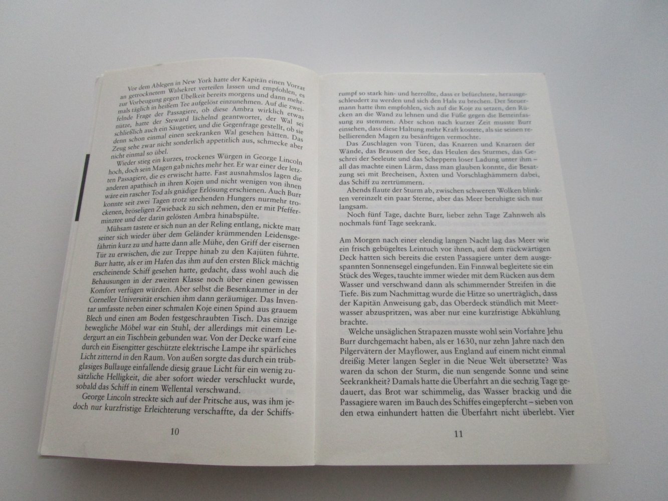 Die Lichtfänger: Roman aus der Zeit der Hexenverfolgung