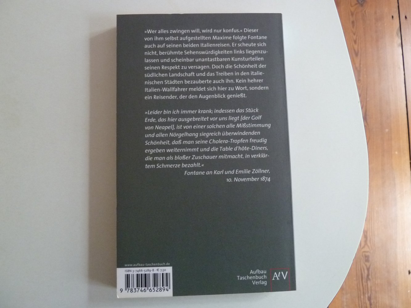 Theodor Fontane Eine Sehnsucht im Herzen Impressionen aus Italien Aufbau Verlag Taschenbuch TOP