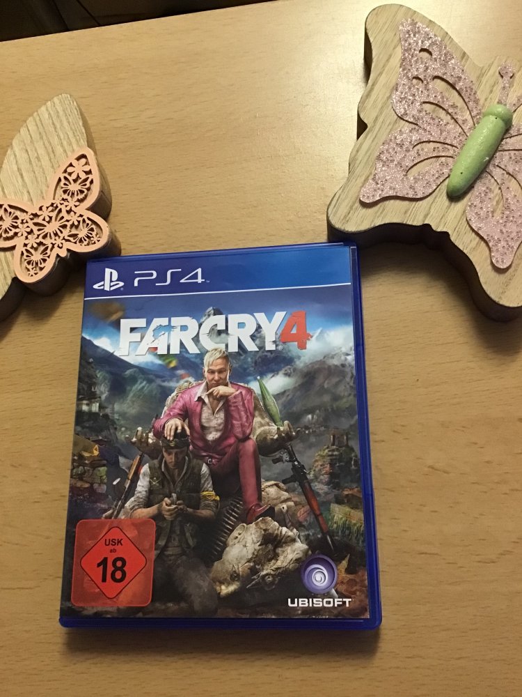 PS 4 Spiel
