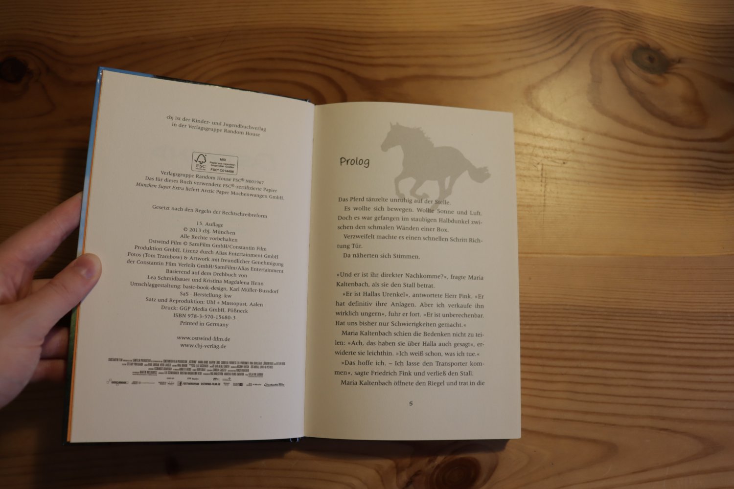 Ostwind Zusammen sind wir frei - Das Buch zum Film mit exklusiven Filmfotos