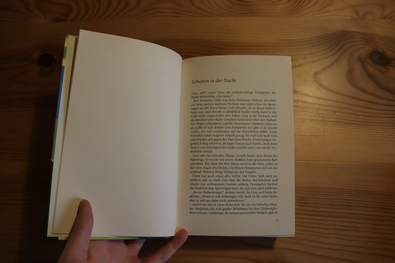 Lissy rettet die Pferde