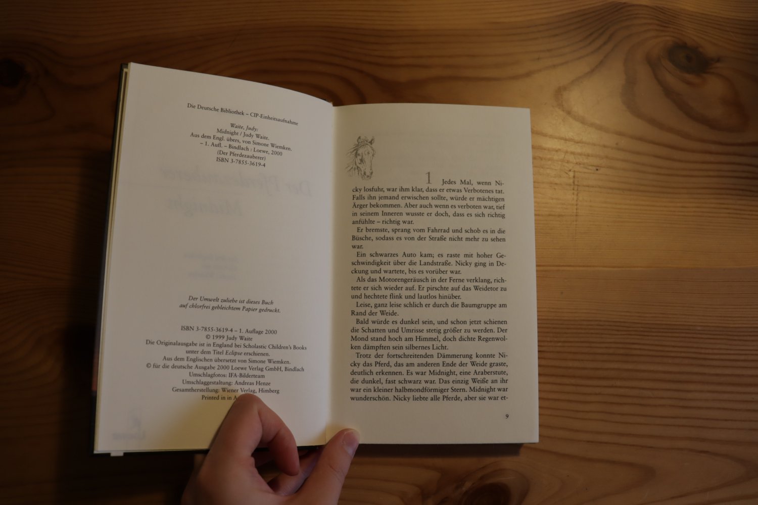 Der Pferdezauber Midnight