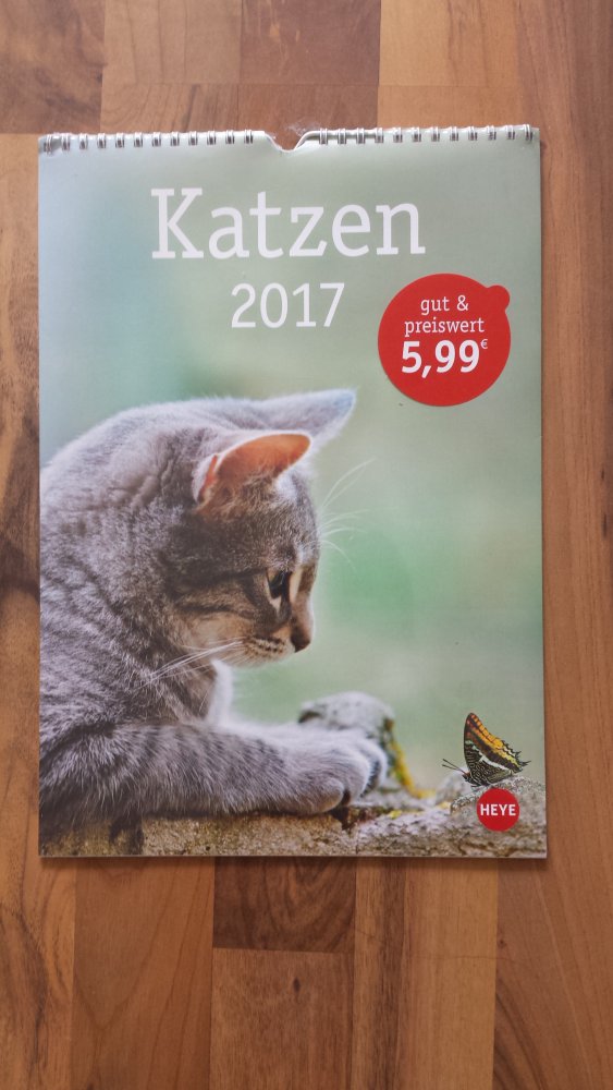 Katzen Kalender Wandkalender