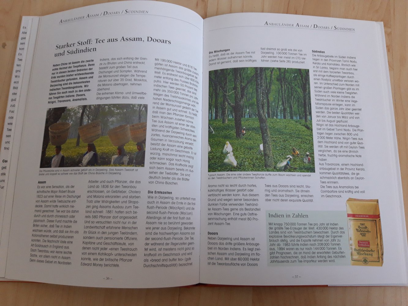 NEU UND UNBENUTZT Tee - Die kleine Schule