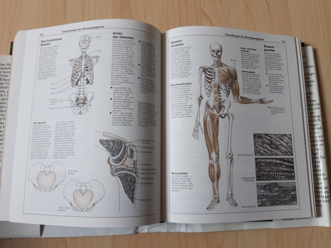 Bücher im Set ++ Handbuch der Gesundheit ++ Ernährungsratgeber ++ Selbstdiagnose ++ vintage