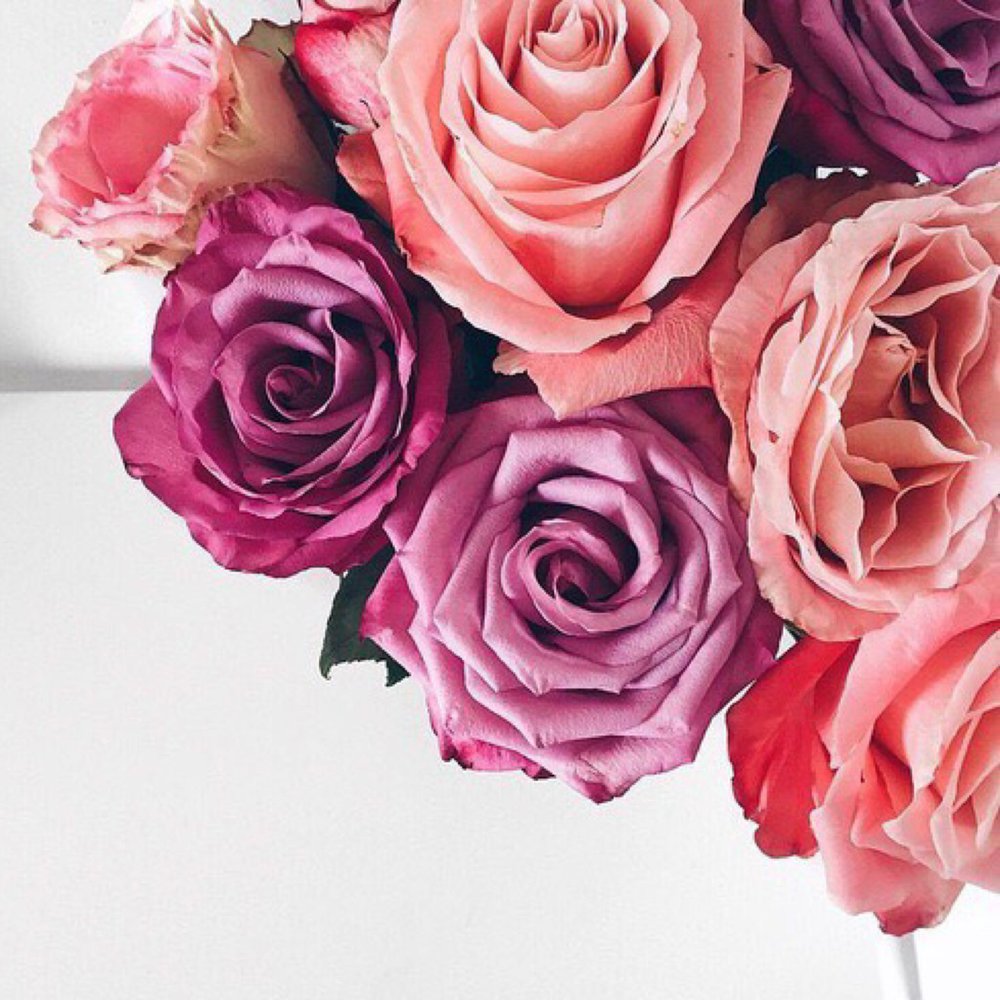 neverendingfairytale