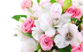 OrchideenLiebenRosen