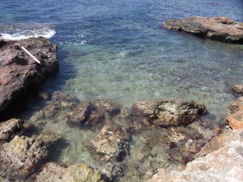 Strawberrylovesfashion