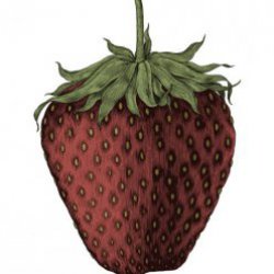ms.strawberryhat