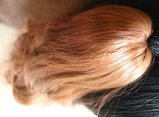 Ponytails Pferdeschwänze Zöpfe Wig Lolita Cosplay