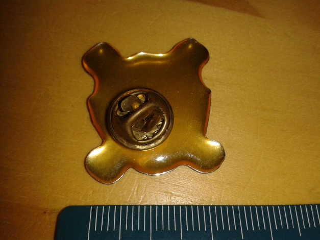 One Piece Pin / Anstecker