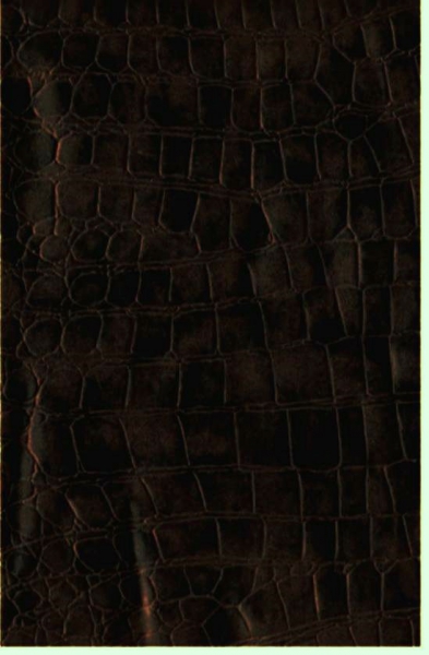 Hose von Together - Im Schlangenledermuster - dunkelbraun - Gr. 40 