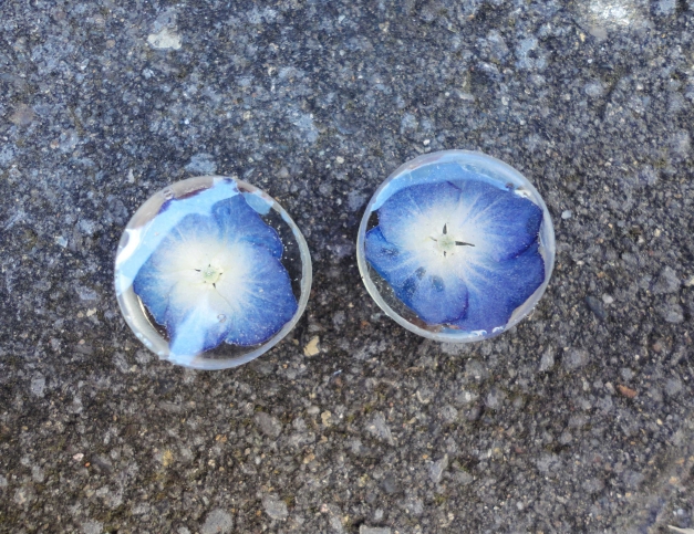 Blumen Plugs 16mm