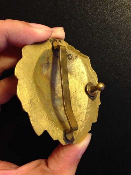 Löwenkopf Gürtelschnalle / Gürtel