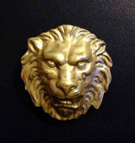 Löwenkopf Gürtelschnalle / Gürtel