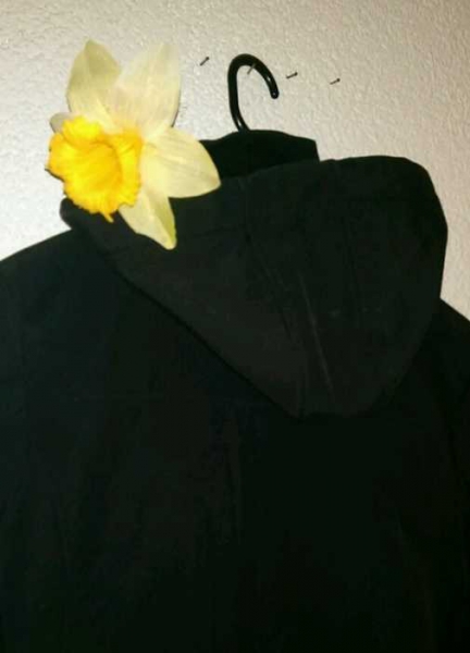 Bench Softshelljacke, mit Kaputze 