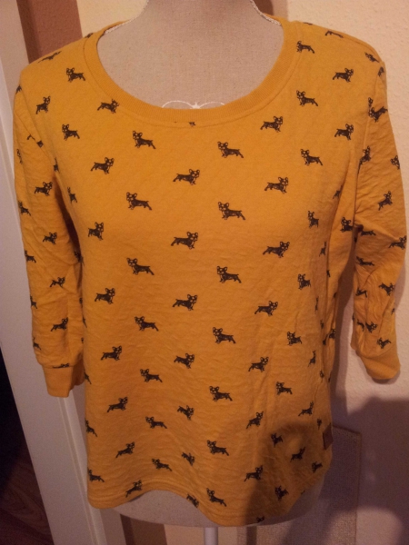 bulldoggen pulli