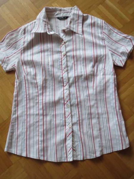 Bluse/ gestreift/ Kurzarm