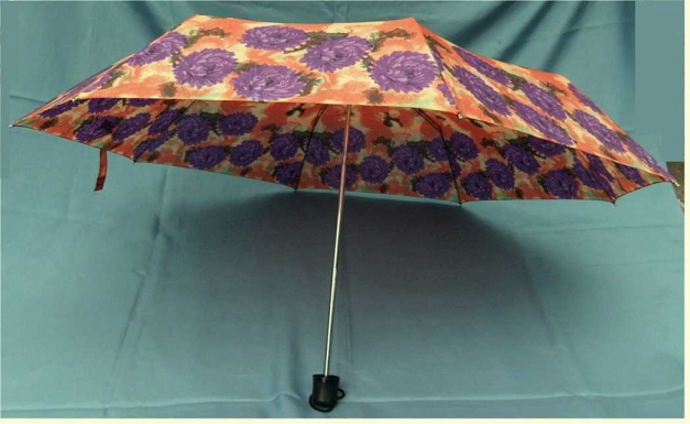2 Damen-Regenschirme - farbig - Kobold Automatik und Taschen-Regenschirm