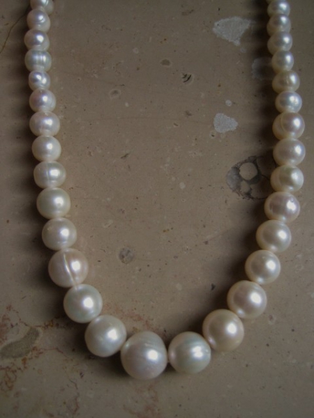 Süßwasserperlenkette dicker werdend neu