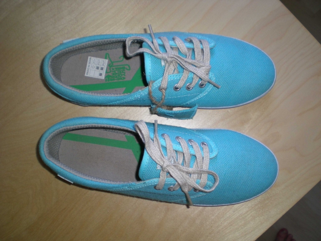 Freshe Original Etnies Gr. 40 in türkis