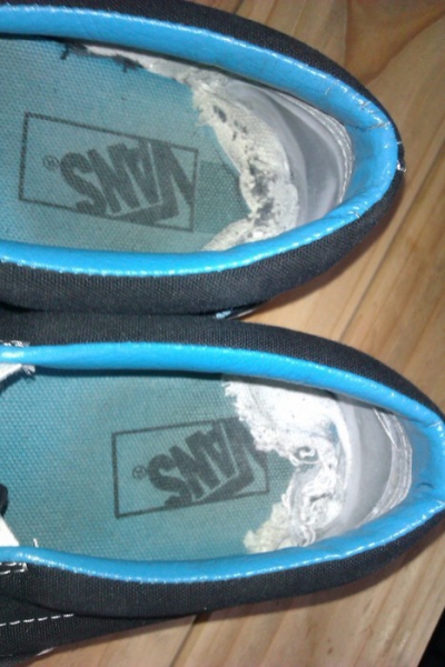 Türkise Hai Vans Slip On