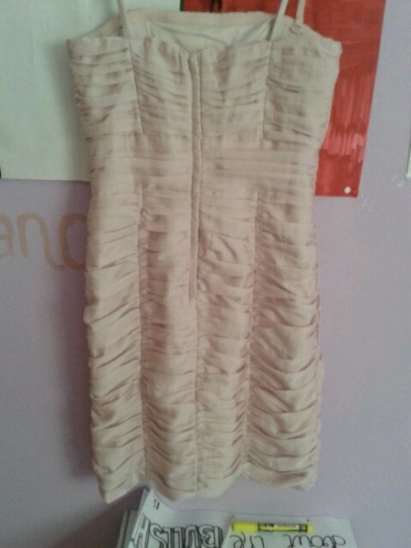 Rosanes Partykleid von H&M