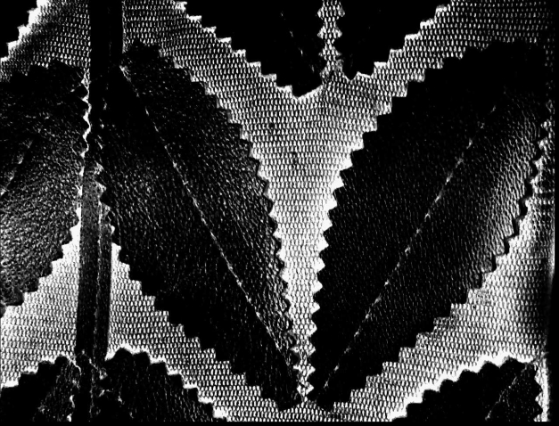 Netzjacke mit Echtleder Blättern und Glitzer-Steinchen Reißverschluß - Gr. XXL ( 44-46 ) schwarz