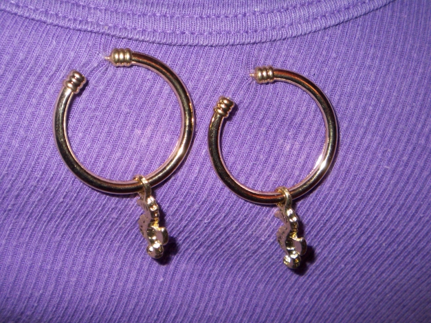 Ohrringe Creolen golden Seepferdchen NEU