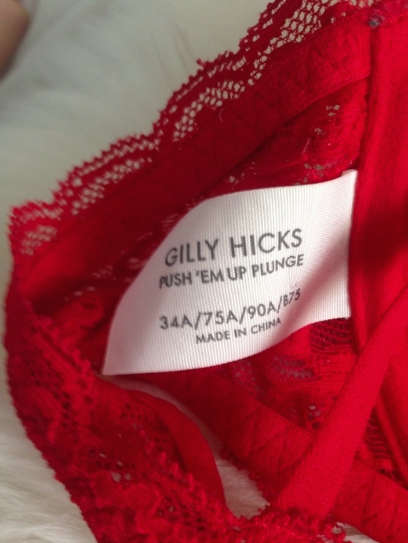 Gilly Hicks Push'Em Up Plunge