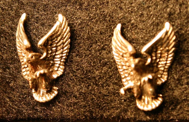 Detailverliebte silberne Adler-Ohrstecker Vogel Tier