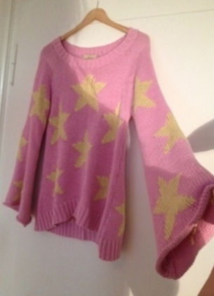 Original wildfox Pullover