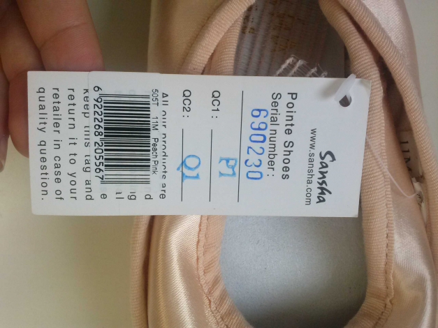 Sansha Spitzenschuhe NEU