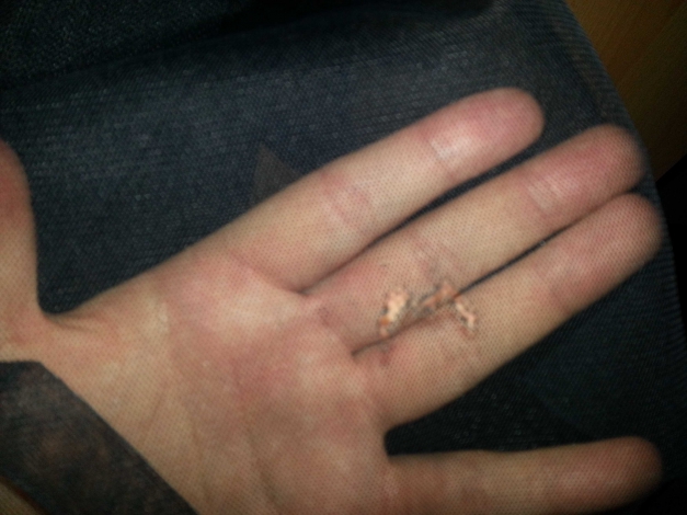 Super schöner Overall in Kleidoptik