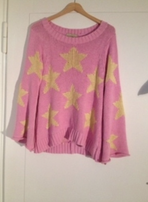 Original wildfox Pullover