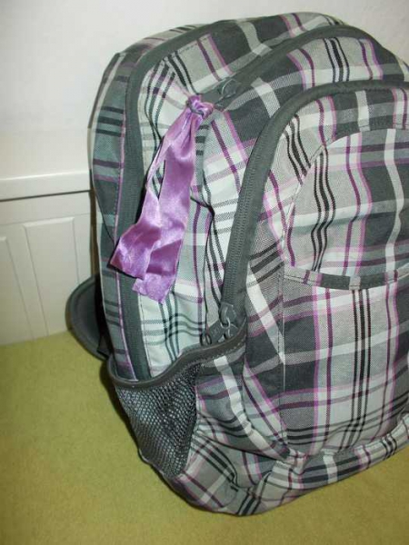 Dakine Rucksack lila-weiß-grau 