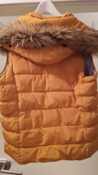 Cecil Steppweste gelb XL