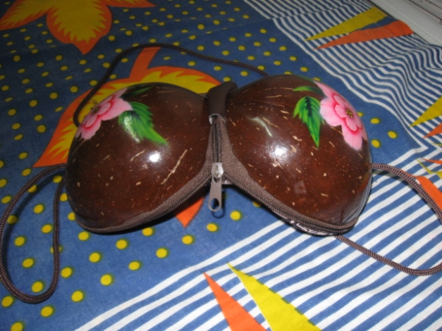 *** Mal die andere Umhängetasche ~ Kokosnuss ~ Außergewöhnlich ***