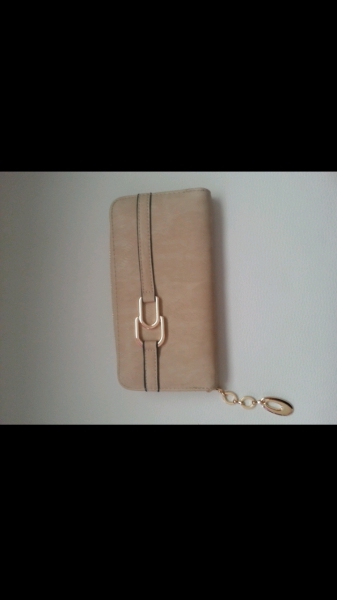 Schönes nude Farbendes Portmonee