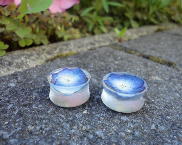 Blumen Plugs 16mm