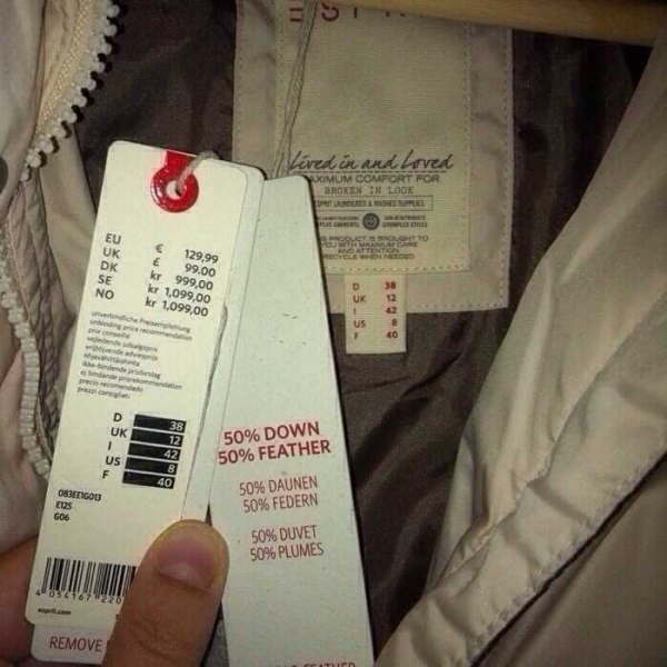 Warme Daunenjacke von Esprit