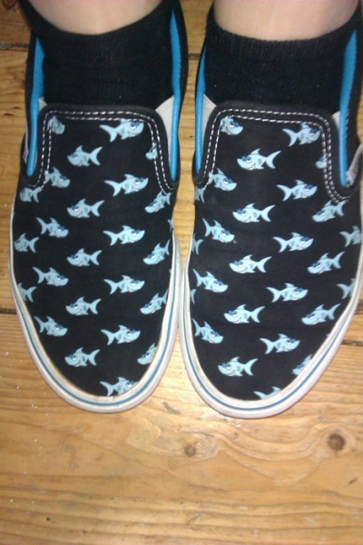 Türkise Hai Vans Slip On